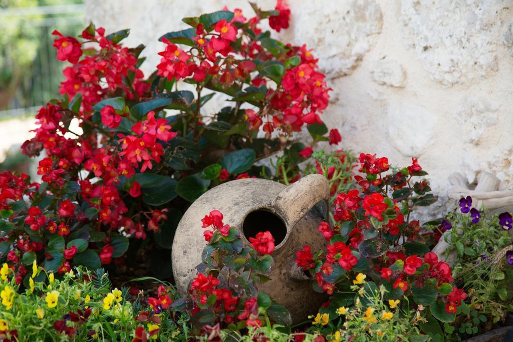 Agriturismo Le Faeta Farm stay