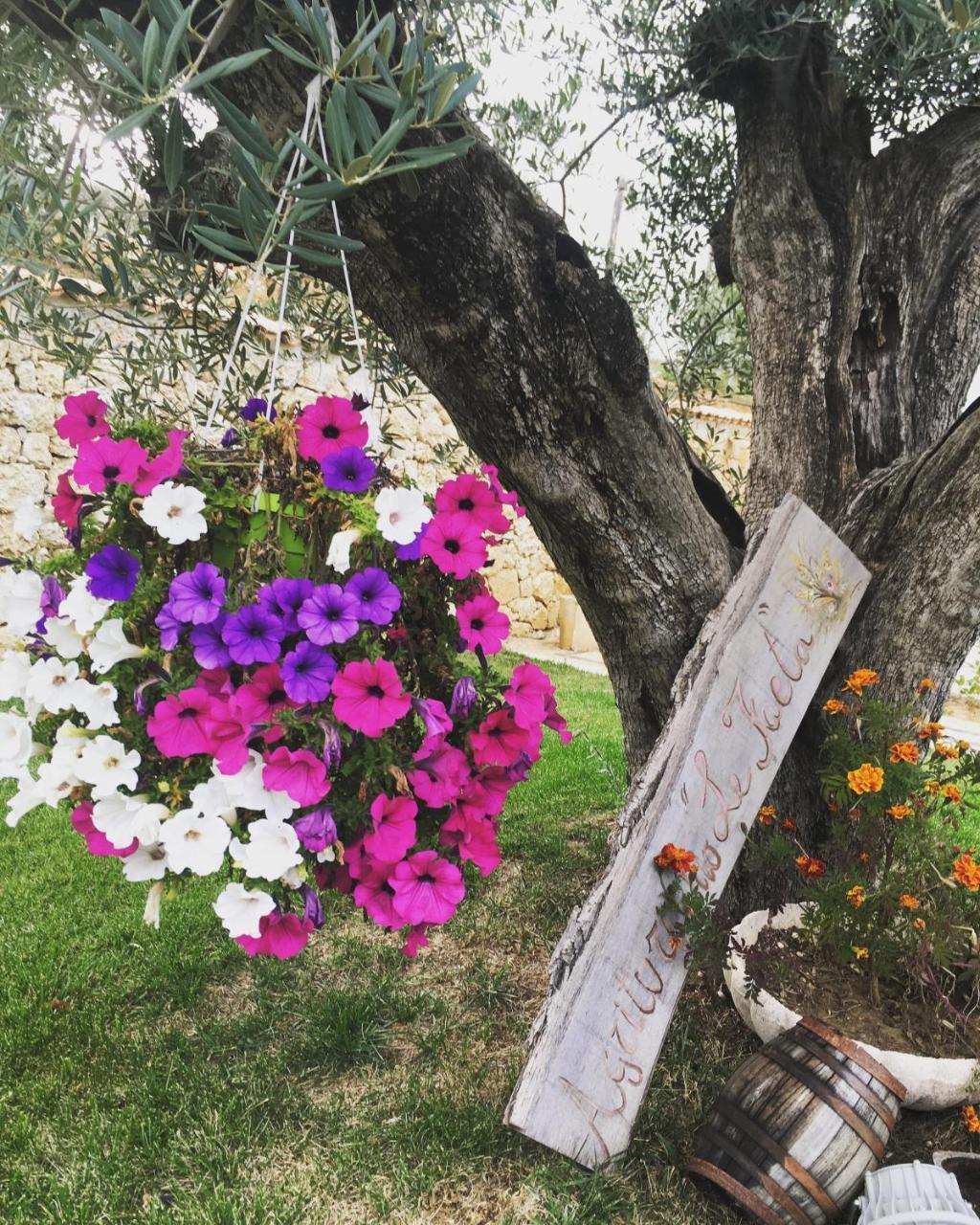 Agriturismo Le Faeta Arpino